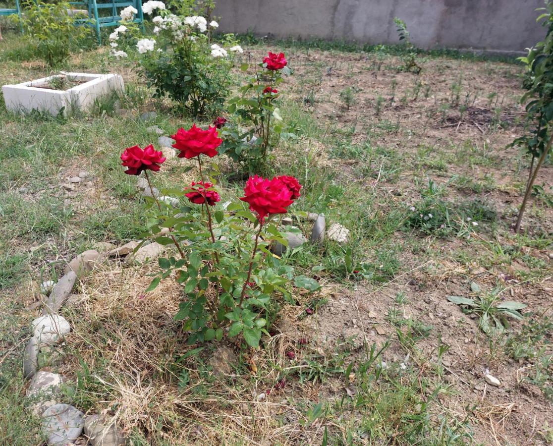 Green House In Vazisubani تبليسي المظهر الخارجي الصورة