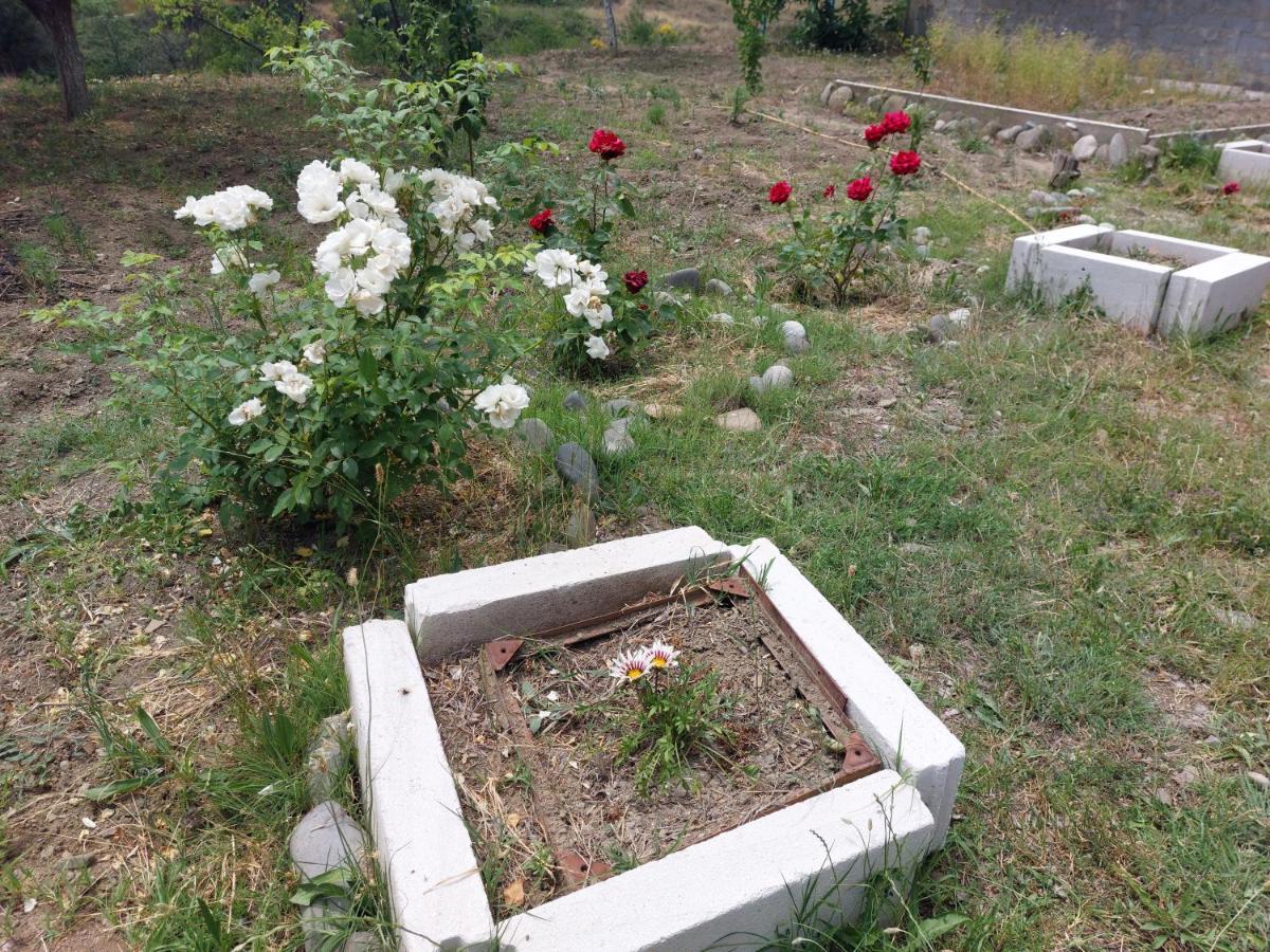 Green House In Vazisubani تبليسي المظهر الخارجي الصورة