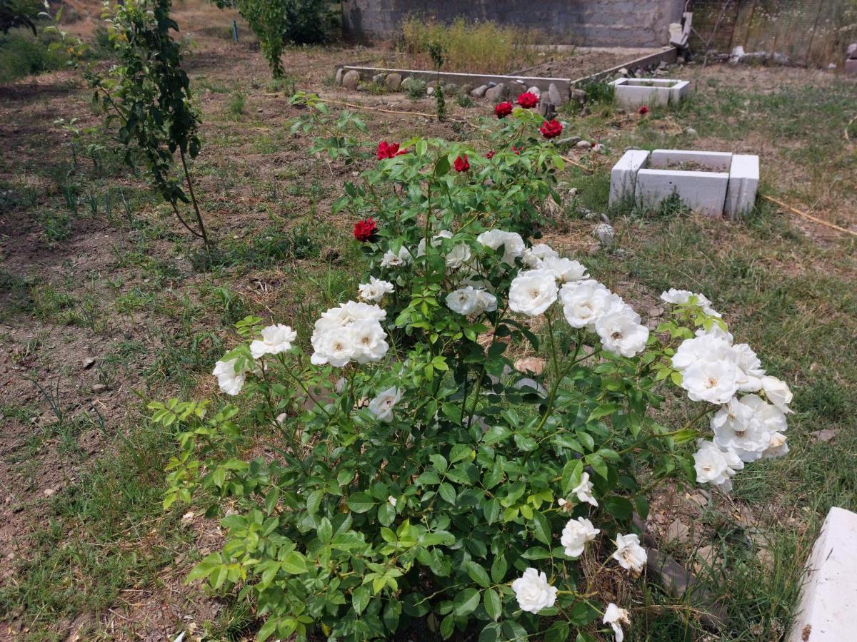 Green House In Vazisubani تبليسي المظهر الخارجي الصورة